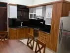 Luxury Four Bedroom fully furnished house at Lion city