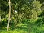 Land for Sale in Ja Ela