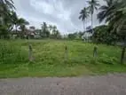 Negombo Valuable Land For Sale in Thibirigaskatuwa