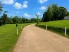 කහතුඩුවෙන්ම සුන්දර වෙල්යායට මුහුණලා ඉඩමක්