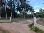 Sale for Land in Anuradhapura, Saliyamawatha