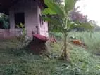 Land for Sale Near Yudaganawa Rajamaha Viharaya Buttala