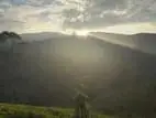 රොසෙල්ලා කෘෂි සංචාරක ව්‍යාපෘතිය
