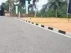 Valuable Land for Sale in Minuwangoda