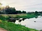 (AF149) 13.5 P Land Sale At Suriyamal Mawatha Delkada Nugegoda