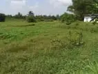 ( TC-1112) Highly Valuable Land Sale in Malawana Mapitigama