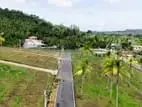 වලස්මුල්ල නගරයෙන්ම අගනා බිම් කොටසක්