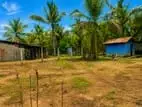 HHL1145 - Land for Sale in Mamangam
