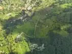 Beautiful Houses for Sale in Rozella