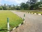 Beliatta Land for Sale