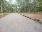 Land in Divulapitiya