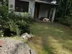Land for Sale with House Ranala - H007