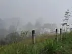 Valuable Land for Sale in Pussellawa