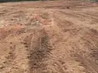 Nugegoda Jambugasmulla Road 21Perches Land For Sale