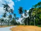 යක්කල නුවර පාරට සමීපව පදිංචියට හොඳම ඉඩමක් විකිණීමට