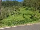 Land for Sale in Haputhale