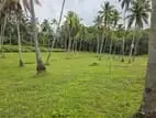 Polgahawela Valuable Land for Sale. S