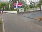 LAND FOR SALE HEDENIYA