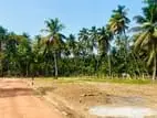 Land for sale in Pambala