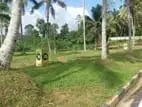 FIND YOUR PERFECT PLOT IN KIRIWATHTHUDUWA