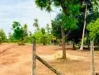 Land for Sale in Anuradapura
