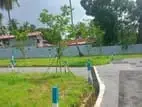 land for sale kurana negambo