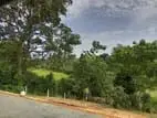 අම්බලන්ගොඩ නගර සභා සීමාවෙන්