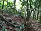 Tourism Commercial Land for Sale