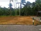 නිස්කලංක මීපෙන් බිම් කොටස්