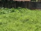 Land for Sale in Pannipitiya