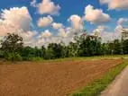 Elegance Land Plots For Sale In Nawagamuwa