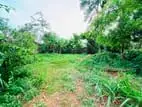 (AFA437) 17.75 Bare Land Sale At Waragoda Kelaniya