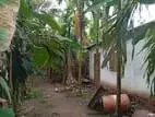 Land for Sale Vavuniya